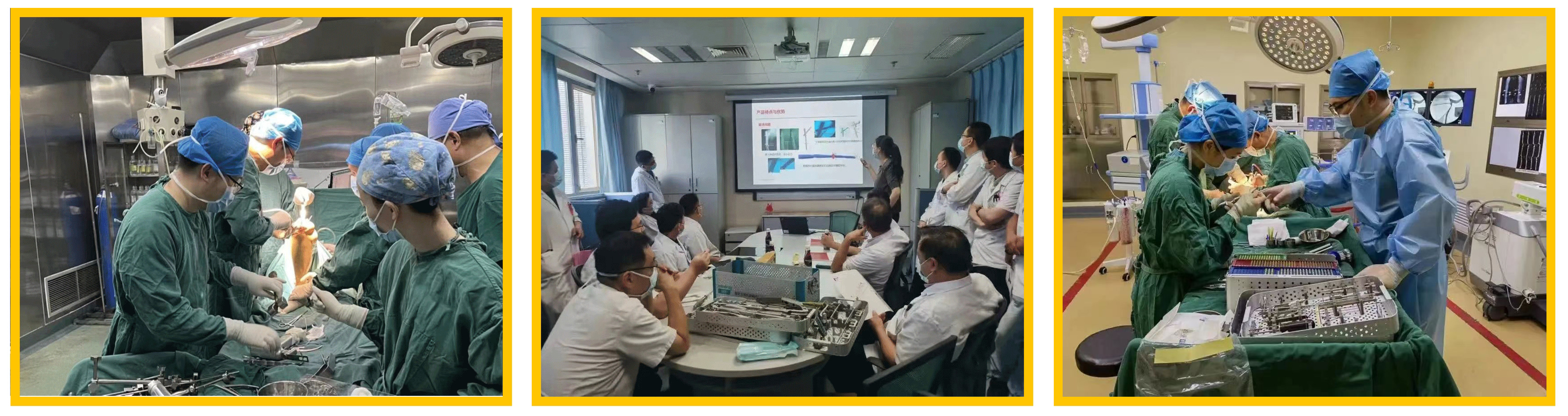 普菲特信息|熱烈祝賀武漢邁瑞SAP實施項目成功上線 普菲特信息|熱烈祝賀武漢邁瑞SAP實施項目成功上線